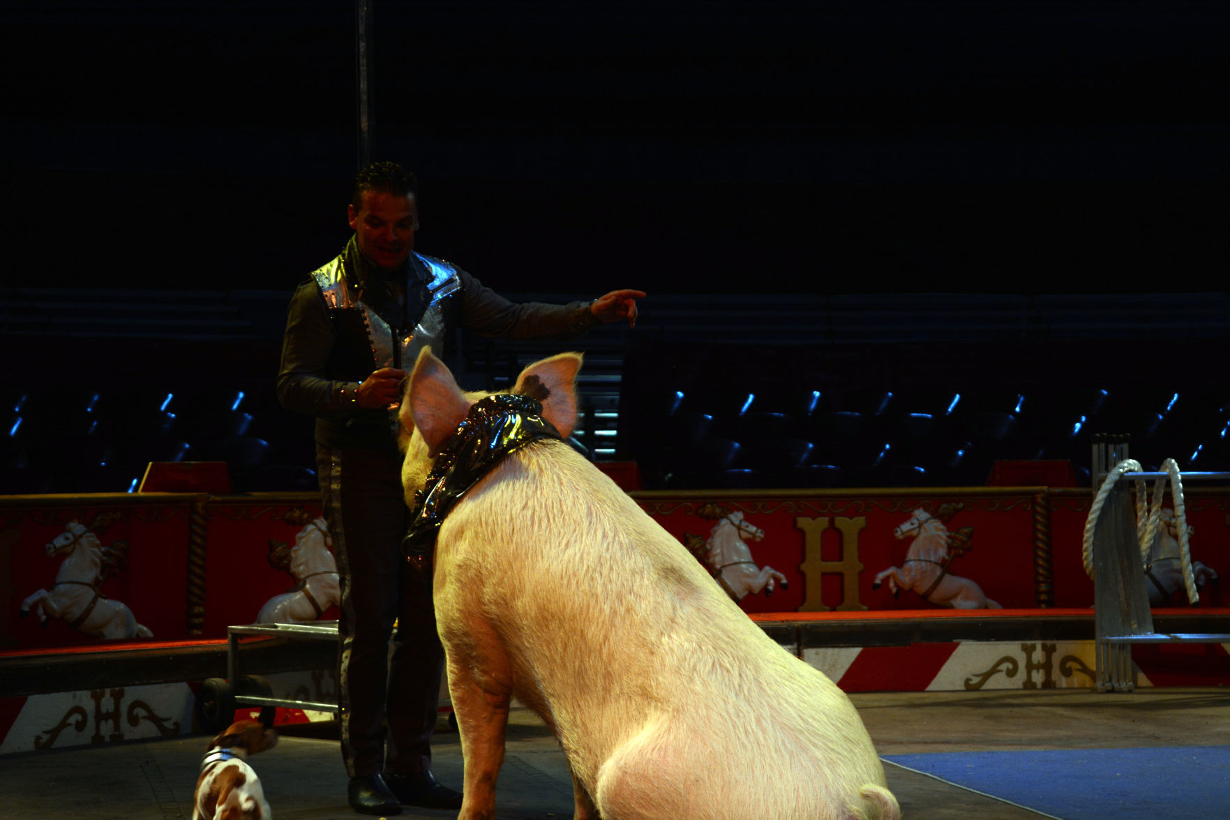 051918-bara-news-circus5